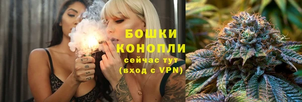 соль ск Ветлуга