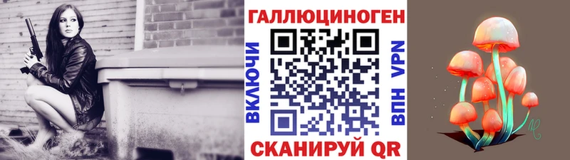 MEGA рабочий сайт Горно-Алтайск Псилоцибиновые грибы GOLDEN TEACHER