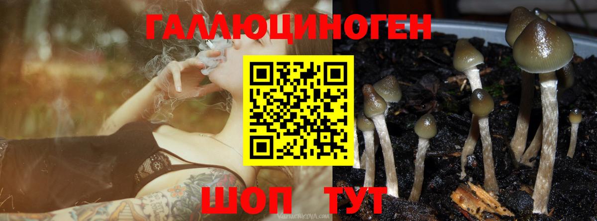 Псилоцибиновые грибы ЛСД  Вход с VPN  Горно-Алтайск  Псилоцибиновые грибы мицелий 
