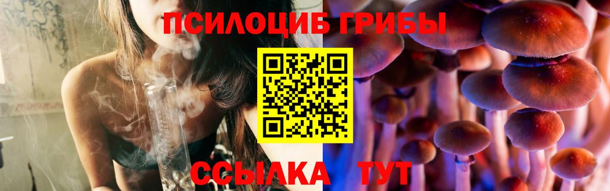 Галлюциногенные грибы мухоморы Горно-Алтайск